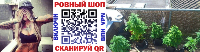 Купить наркотики цена Лениногорск БУТИРАТ  МАРИХУАНА  Alpha PVP 