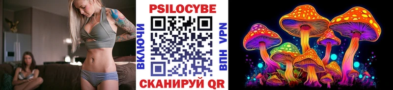 купить   Лениногорск  Псилоцибиновые грибы GOLDEN TEACHER 