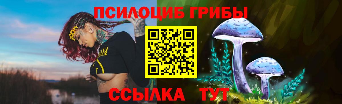 Галлюциногенные грибы Cubensis Лениногорск